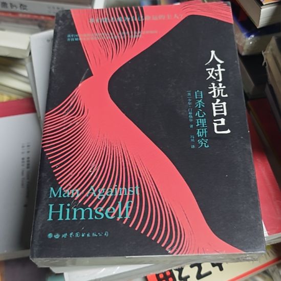 人对抗自己平装库存书