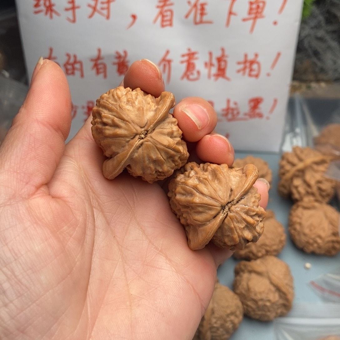 文玩核桃把件静*大红袍48