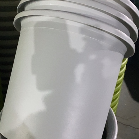 树脂四季6号灰白无托7个特价