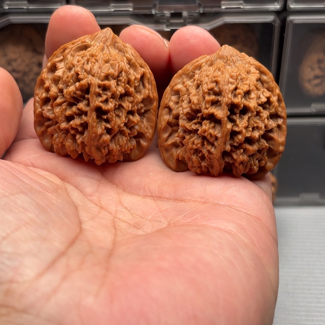 文玩核桃把件满天星42