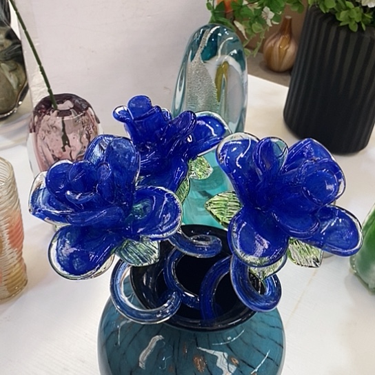 夜光花高45厘米宽度6厘米