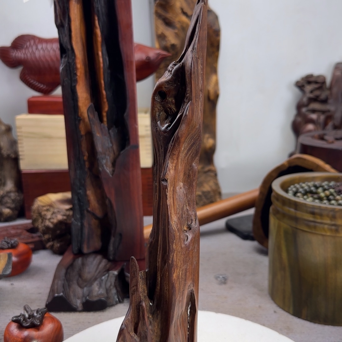 大果紫檀（缅甸花梨）秋*⋯