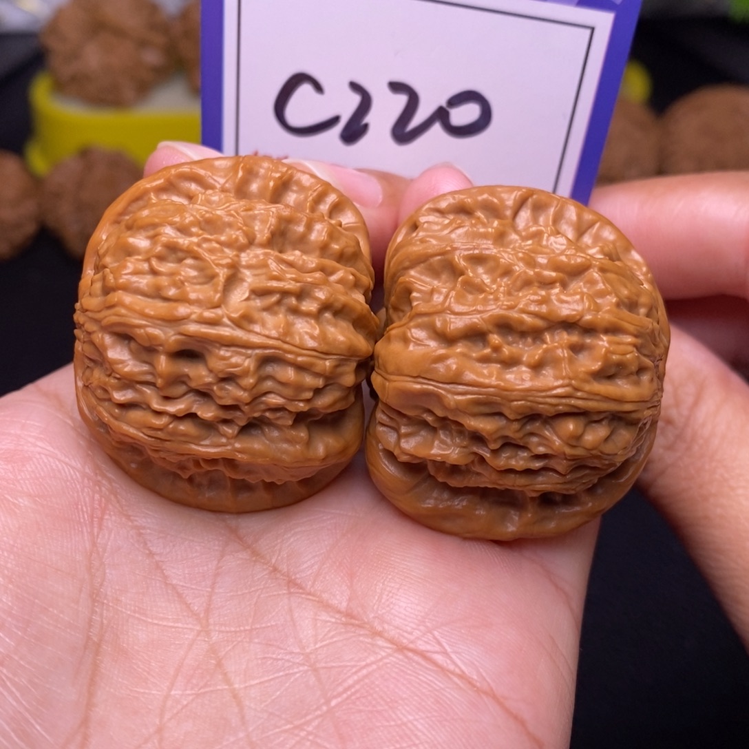 文玩核桃把件40白狮子c220