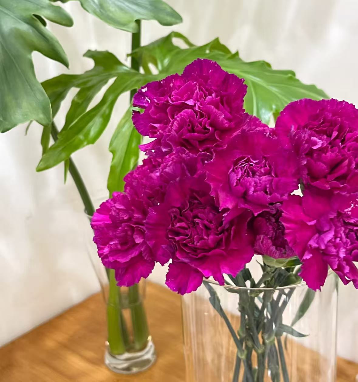 【紫水晶】单头康乃馨20枝  基地直发 | 全场鲜花任意两单包邮