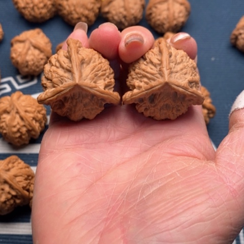 橄榄核手串/手链糖三角36