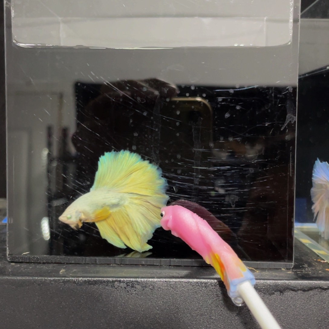 海水哈啥哈哈哈哈试试试试吧