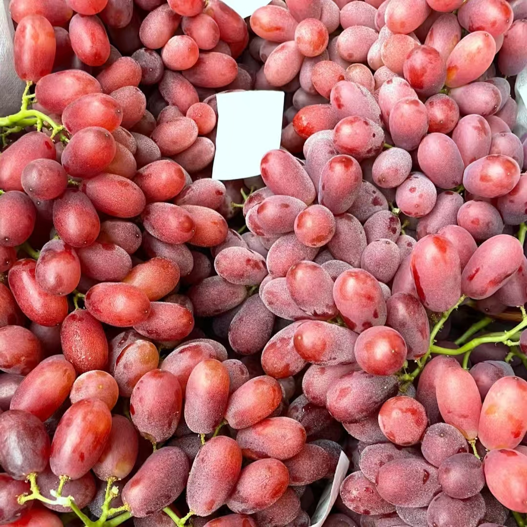 橙色果仓小时达无籽红提500g