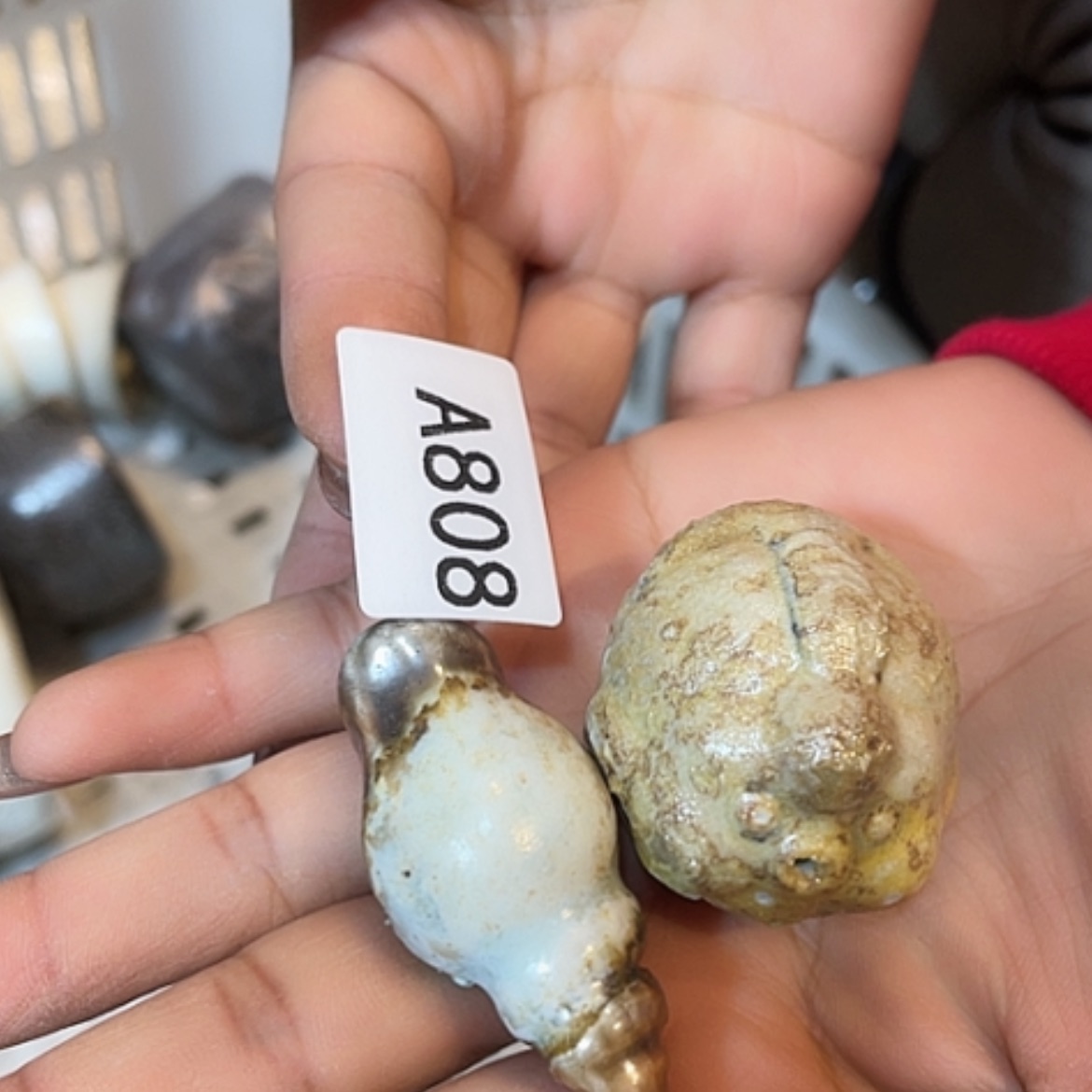 【闪购商品】福利福利活动中的福利