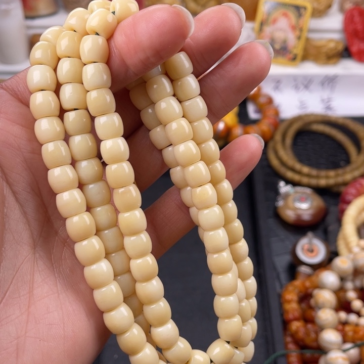 驼骨其他骆驼骨直切0.8/7