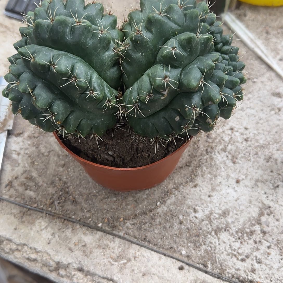 花花花花花花花花花