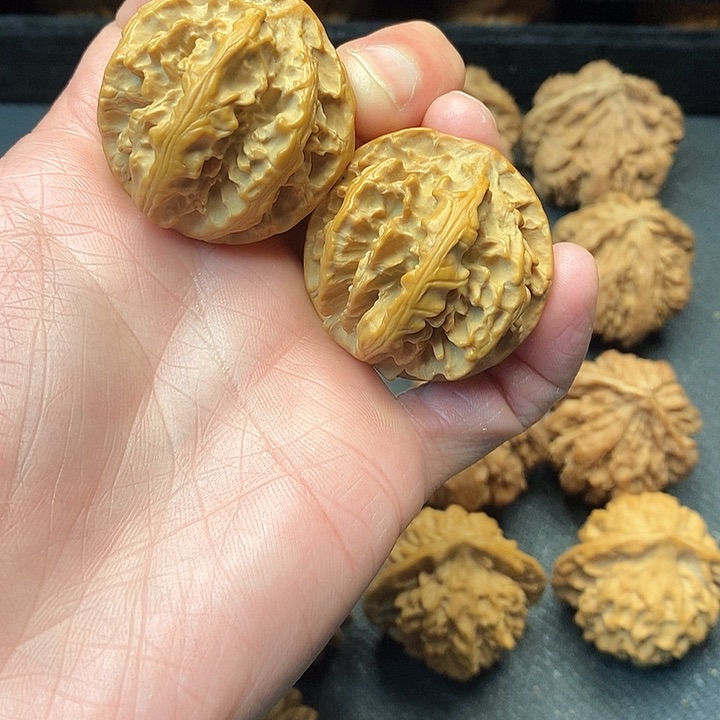 我是一只小小鸟地域鬼的