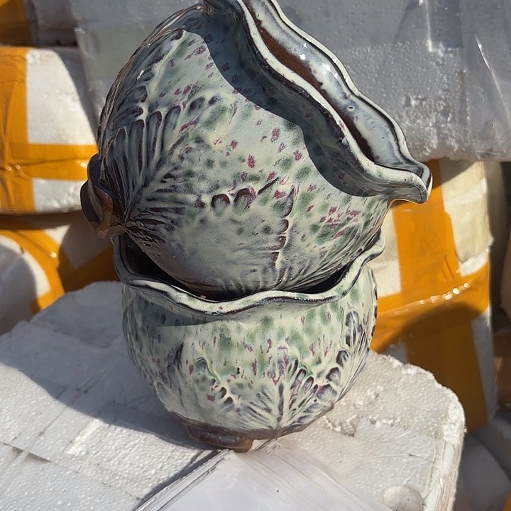 红陶白菜两个口径16.5*14