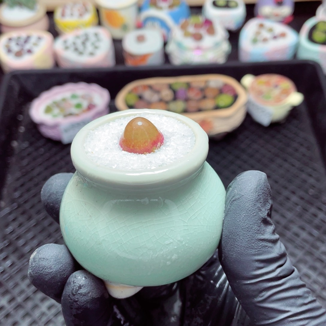 w5553--带盆土发货，零下地区拍保温箱