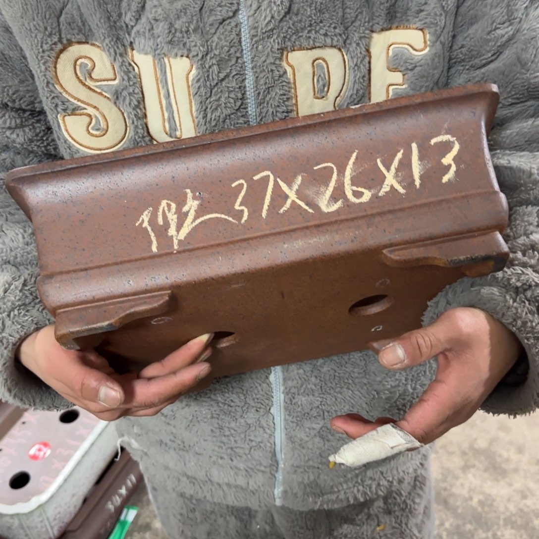 紫砂花盆呜呜呜呜