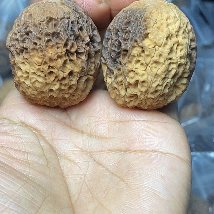 把件文玩核桃云南铁核桃基地44