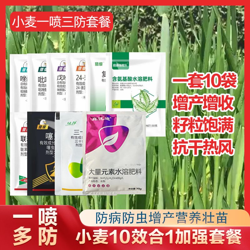【金界团长】小麦高产增产套餐小麦一喷三防增产增收叶面肥肥料
