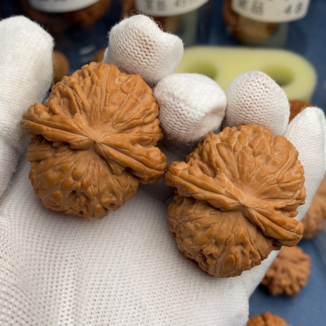 文玩核桃把件元宝白狮子全品