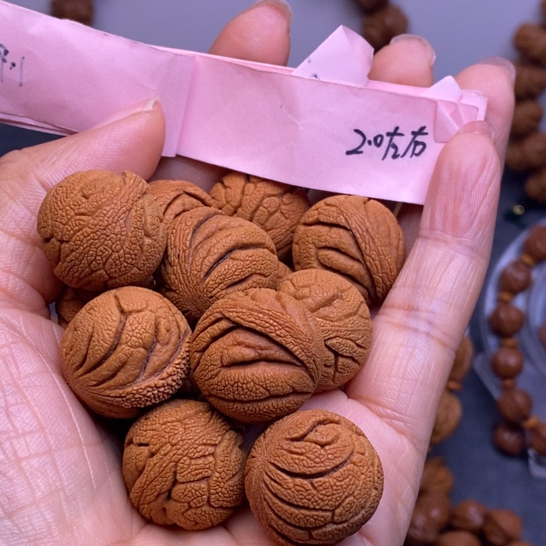 秦岭龙纹桃核13颗