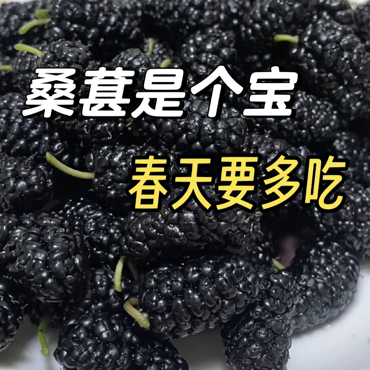 美容养颜桑葚一盒