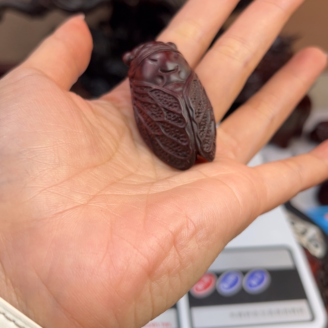 印度小叶紫檀金蝉