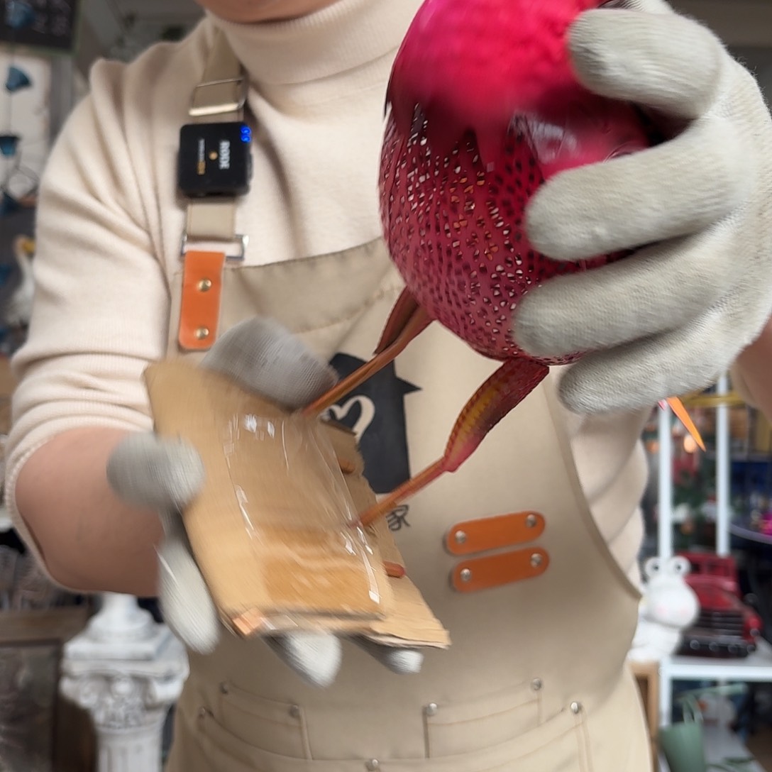 核桃木/黑胡桃（胡桃木）