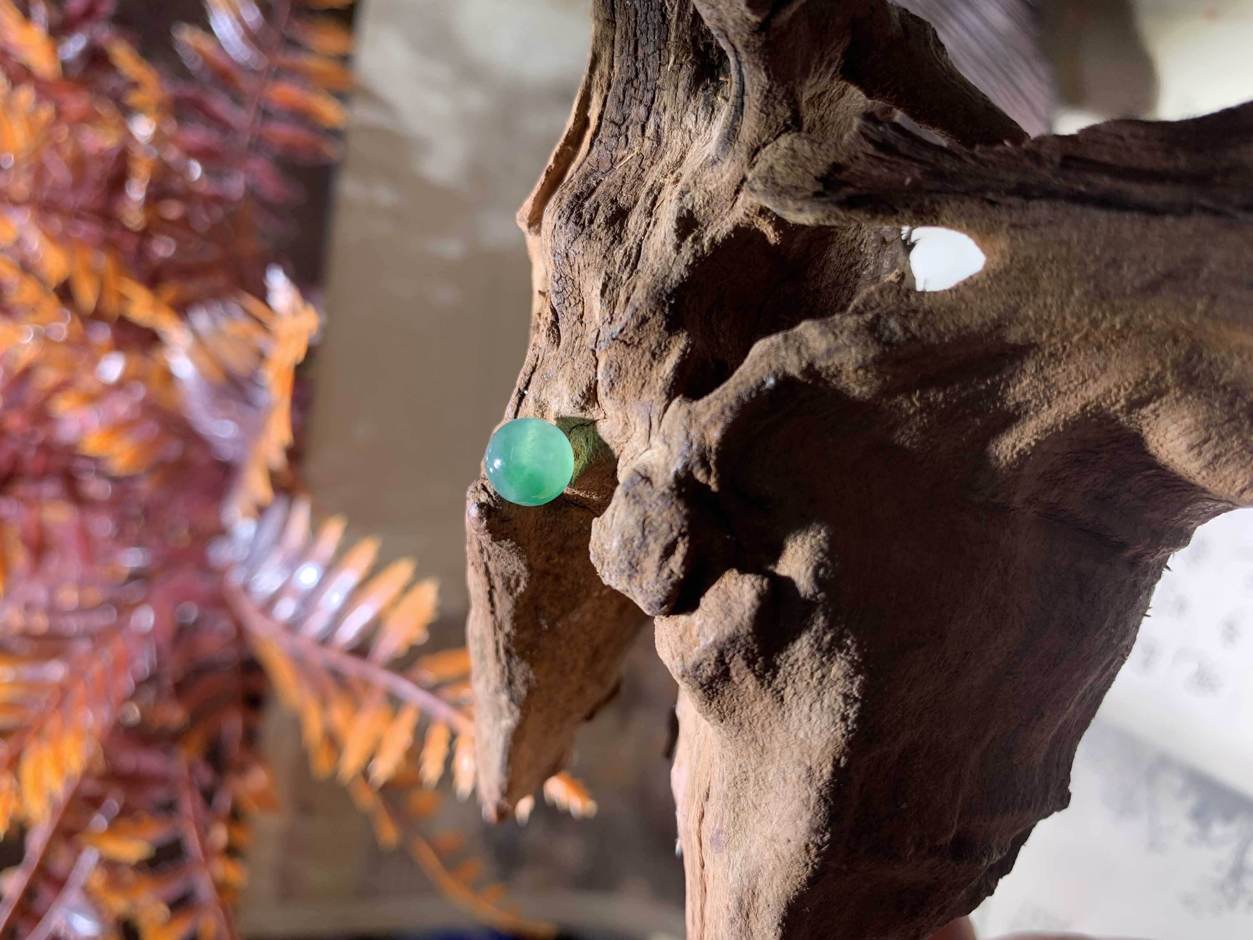 天然缅A翡翠冰种青翠欲滴飘阳绿卡7 