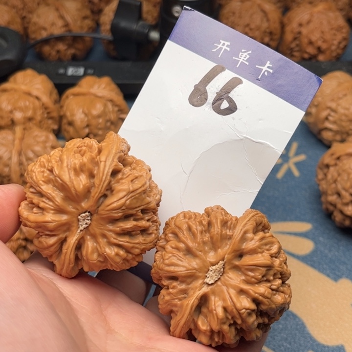 文玩核桃吊坠粗筋 47全品66