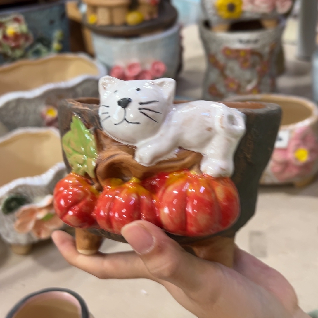 满20飞花盆爱退拉黑