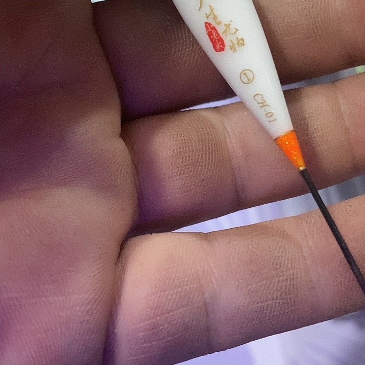 天生尤物一单一只