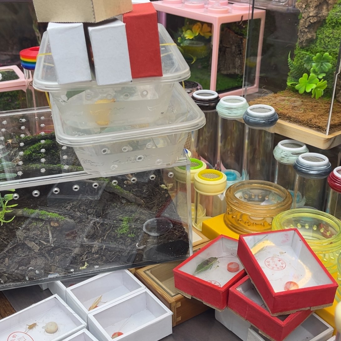 热大黄雨林加虫哈哈哈