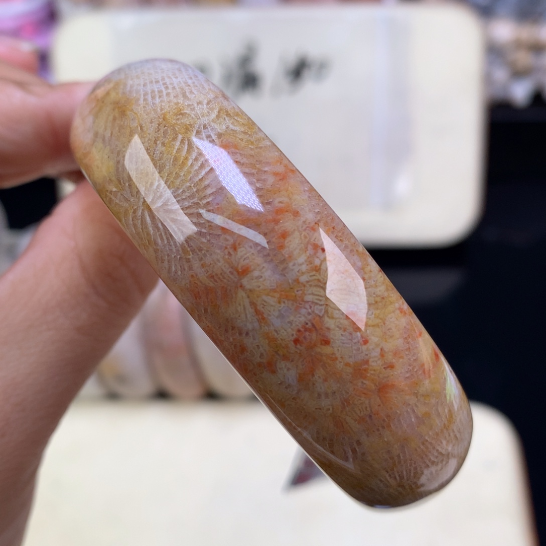 硅化珊瑚（珊瑚玉）未镶嵌吊坠(赠链)（27号）五折凤尾58圈