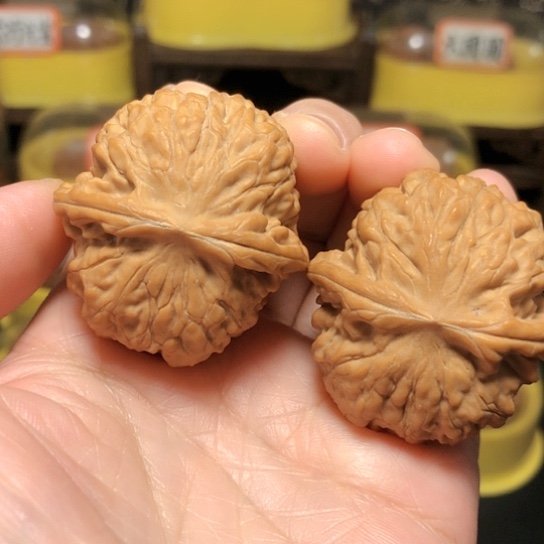 今日推荐：黄松峪元宝