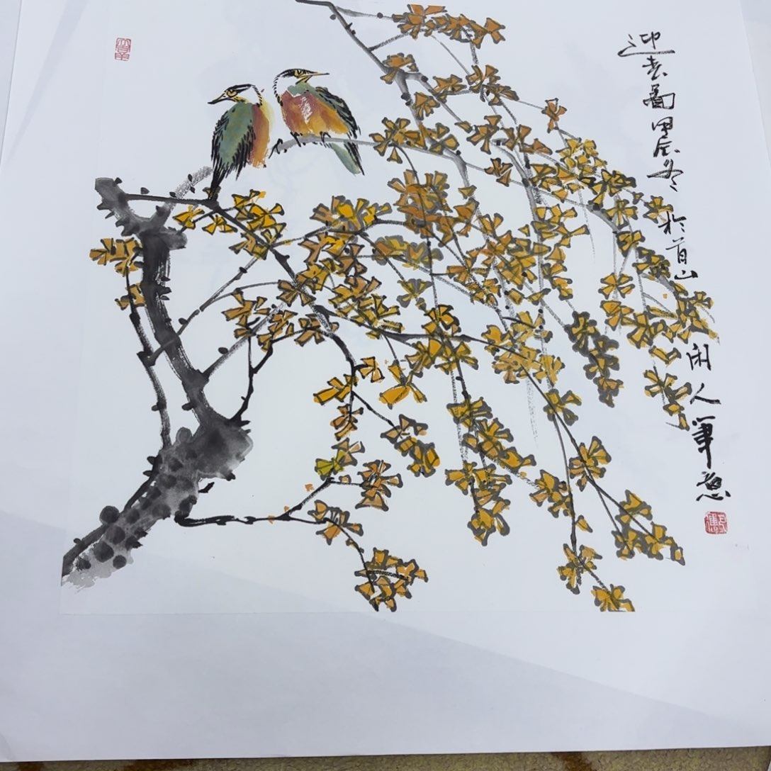 国画用****9巴进斗方花鸟赵