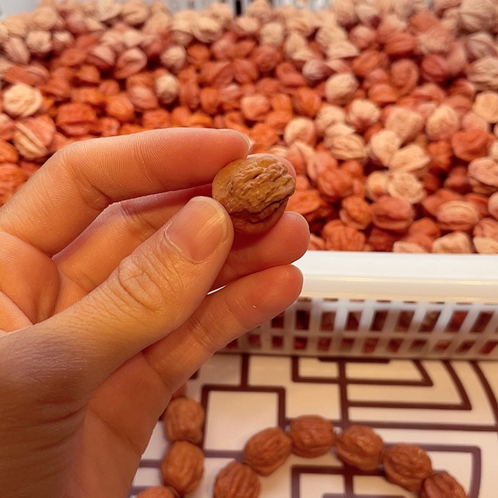 天***乐文玩核桃手串小核桃手串