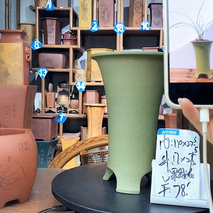 紫砂果绿泥爆款只要78