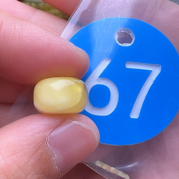 蜜蜡裸石未镶嵌瑕疵12.3m m