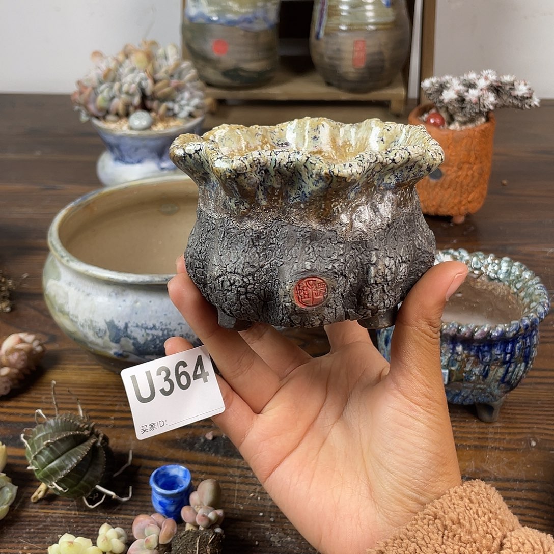 默认微次 跨年福利 坛子姐花盆