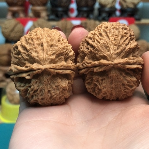 文玩核桃把件云南铁核桃