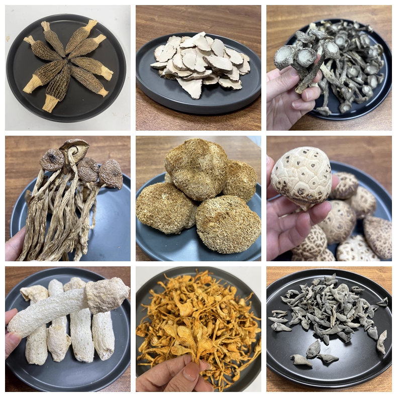 【菌菇】虎乳羊肚菌姬松鹿茸茶树虫草花菇竹荪云银耳桃胶雪燕皂角米