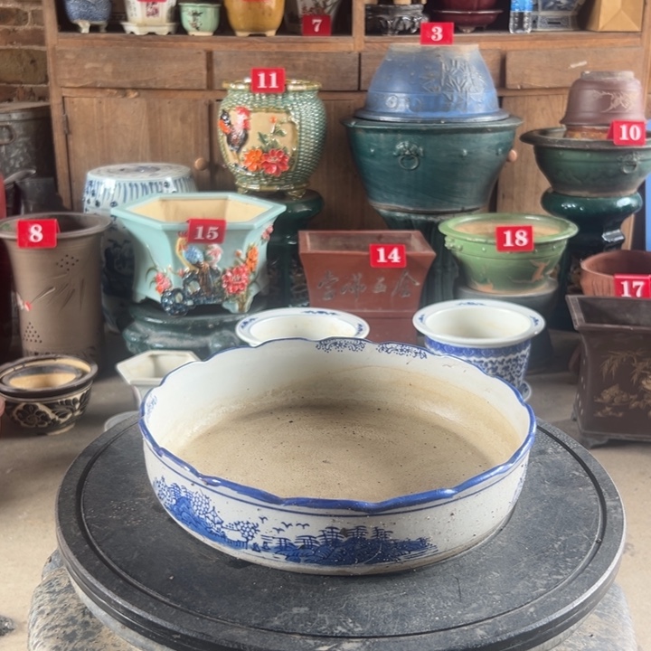 h****z我们都是好孩子呀打脸