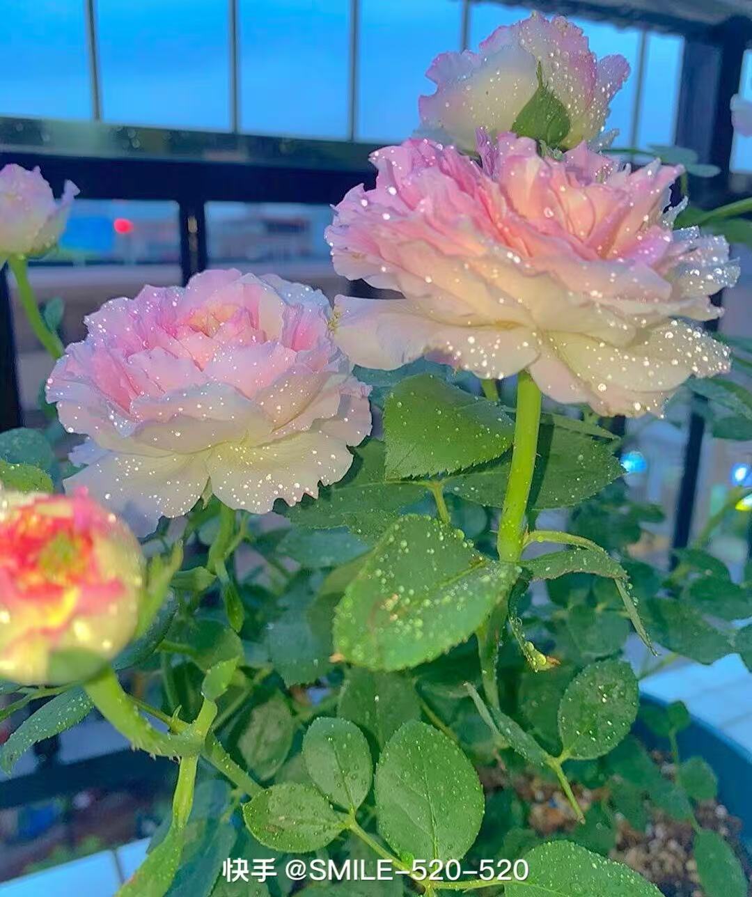 1.1 居家日用百货A001-A030