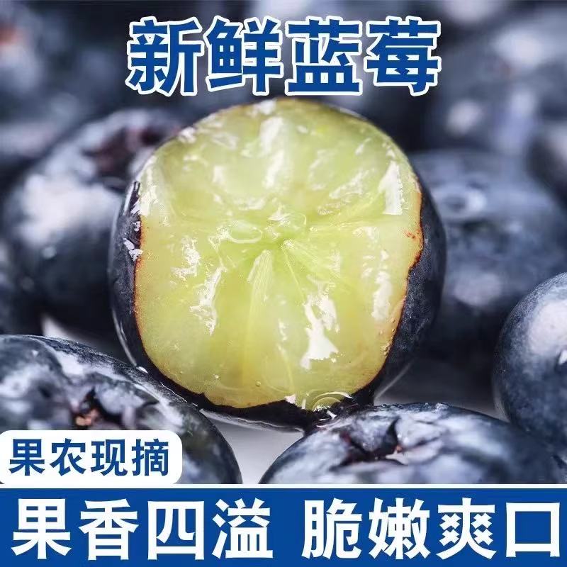 安【头茬蓝莓巨无霸】18mm-20mm果径 新鲜蓝莓 现摘现发含盒100g/盒