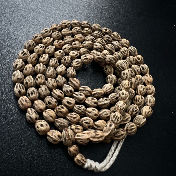 一哥《尸坨王炸尸坨王》定制级百香籽