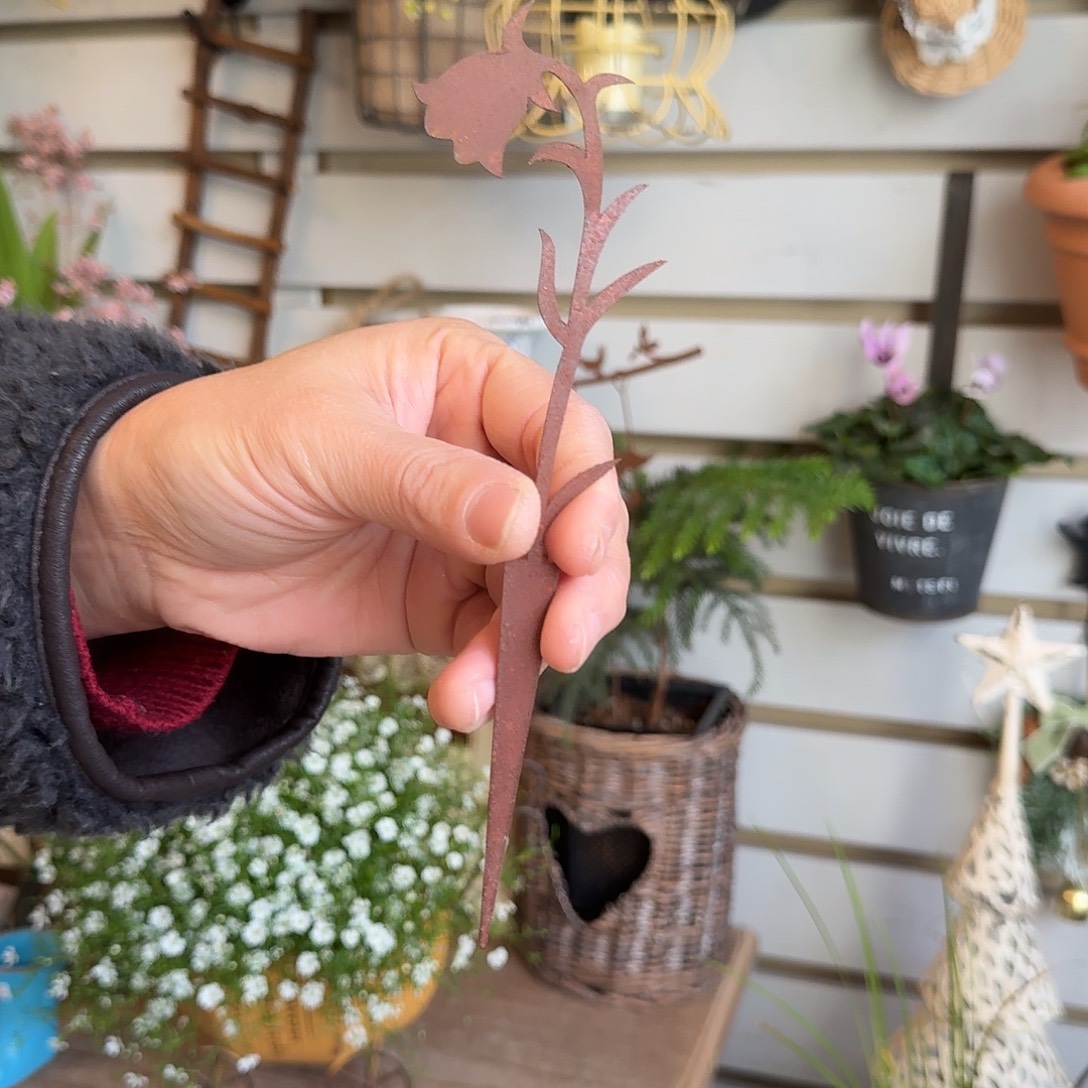 萱***晓锈色小铃兰花插1111