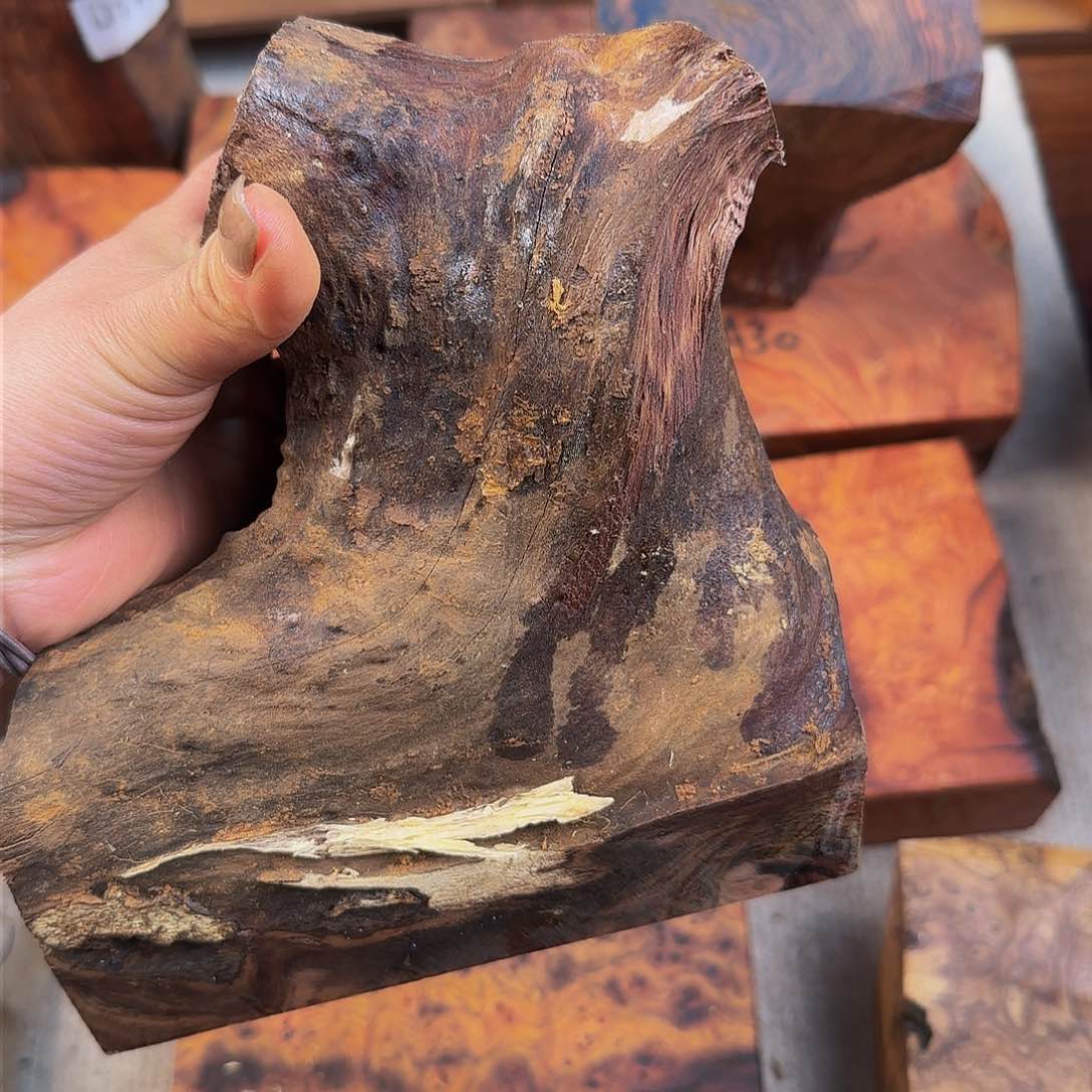 香榧木贵***✨贵黄黑油树根料子