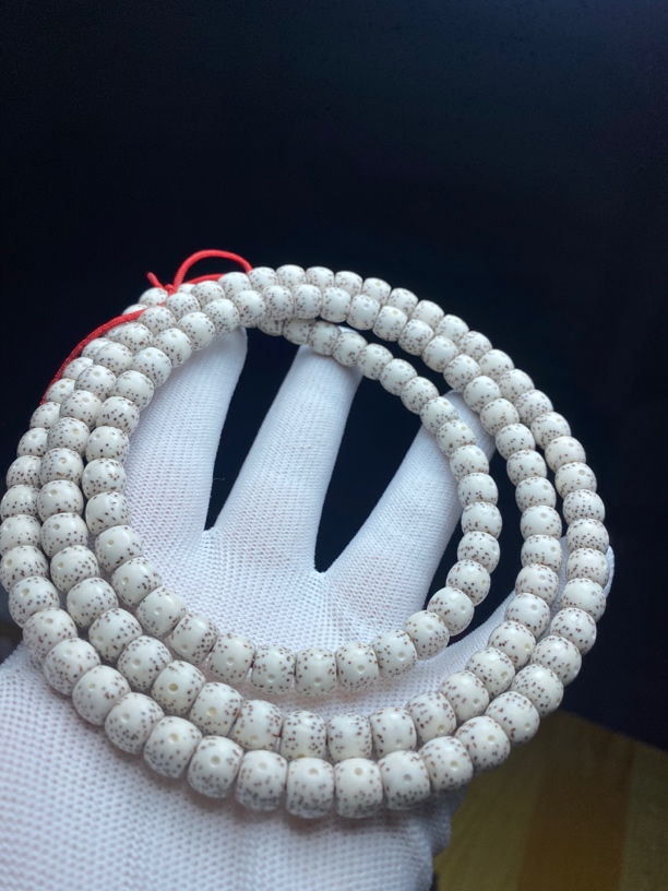 海南星月菩提 原生态8/7 月朗星稀 无烟花 至尊星