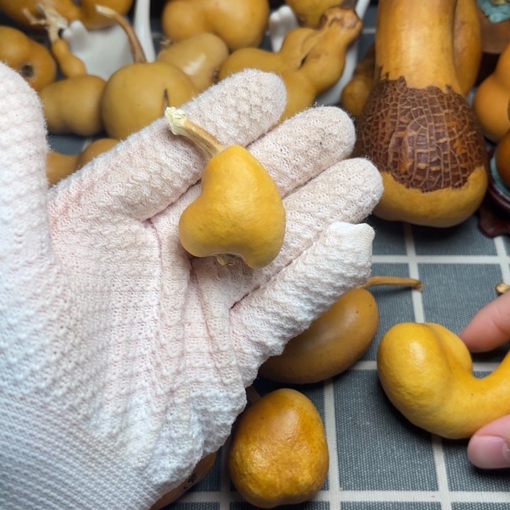 关***画葫芦66666666666666