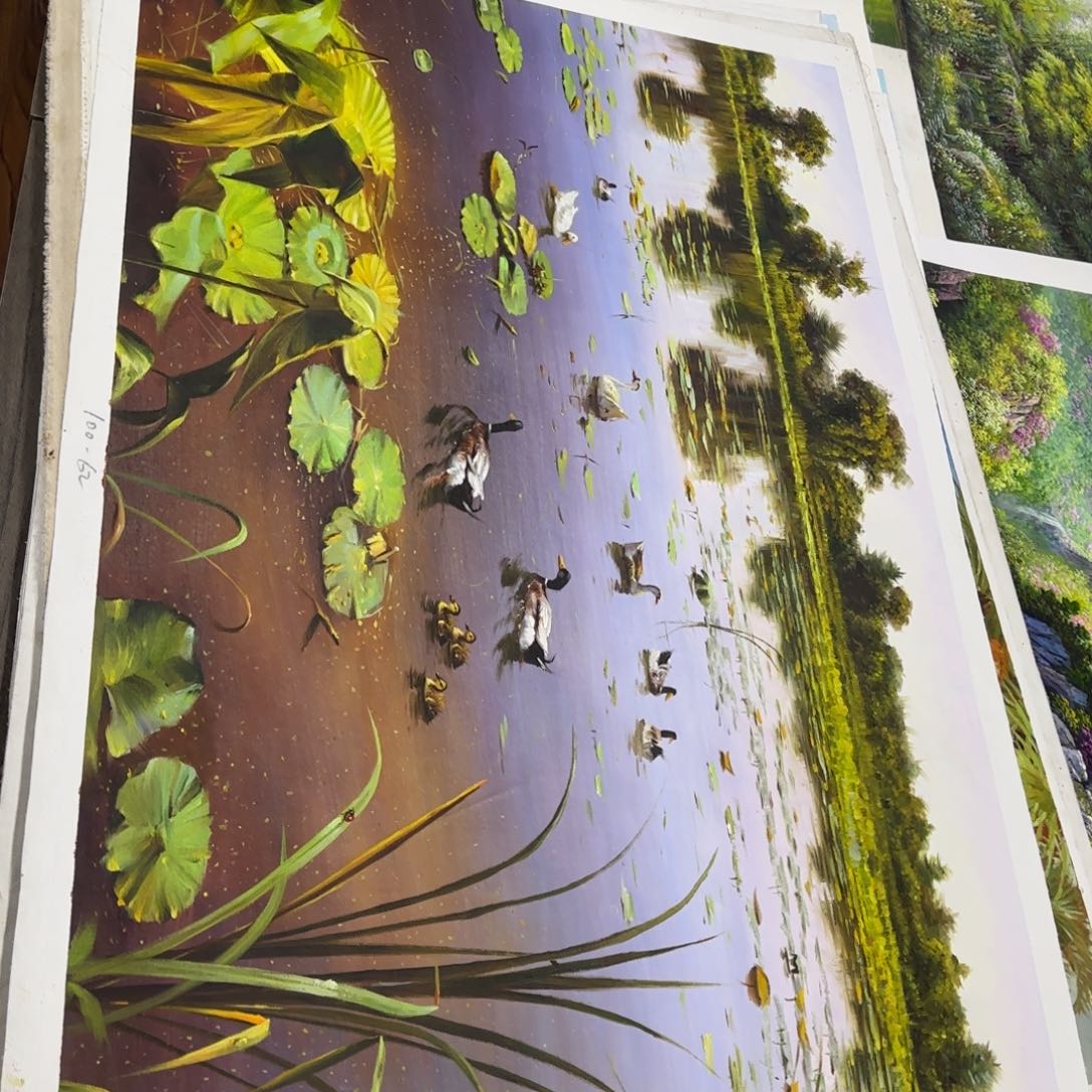 油画好想去看看这个节目