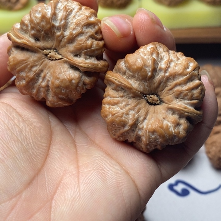 放***肉大叶紫檀（黑酸枝木类）文玩核桃蛤蟆头40有修