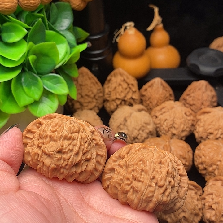 学***考核桃闷白狮子头44有修